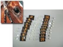 Horse number tag (to distinguish race horses)