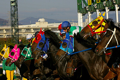 競馬用ヘルメット等 Jraファシリティーズ株式会社 競馬用ヘルメット等 Jraファシリティーズ株式会社