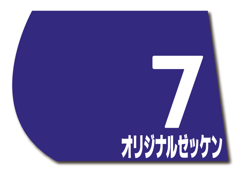 競馬　実使用ゼッケン　jra