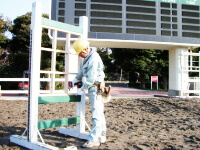 Making and repairing steeplechase hurdles