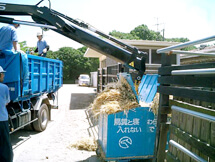 Collecting horse manure