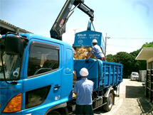 Collecting horse manure