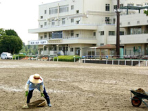 Cleaning of horse paths