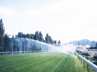 Sprinkling of water using an automatic sprinkler