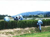 Mending the fences of the steeplechase course