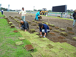 芝張替え作業