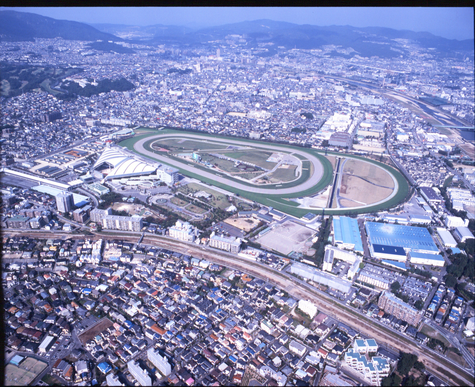 競馬 場 阪神