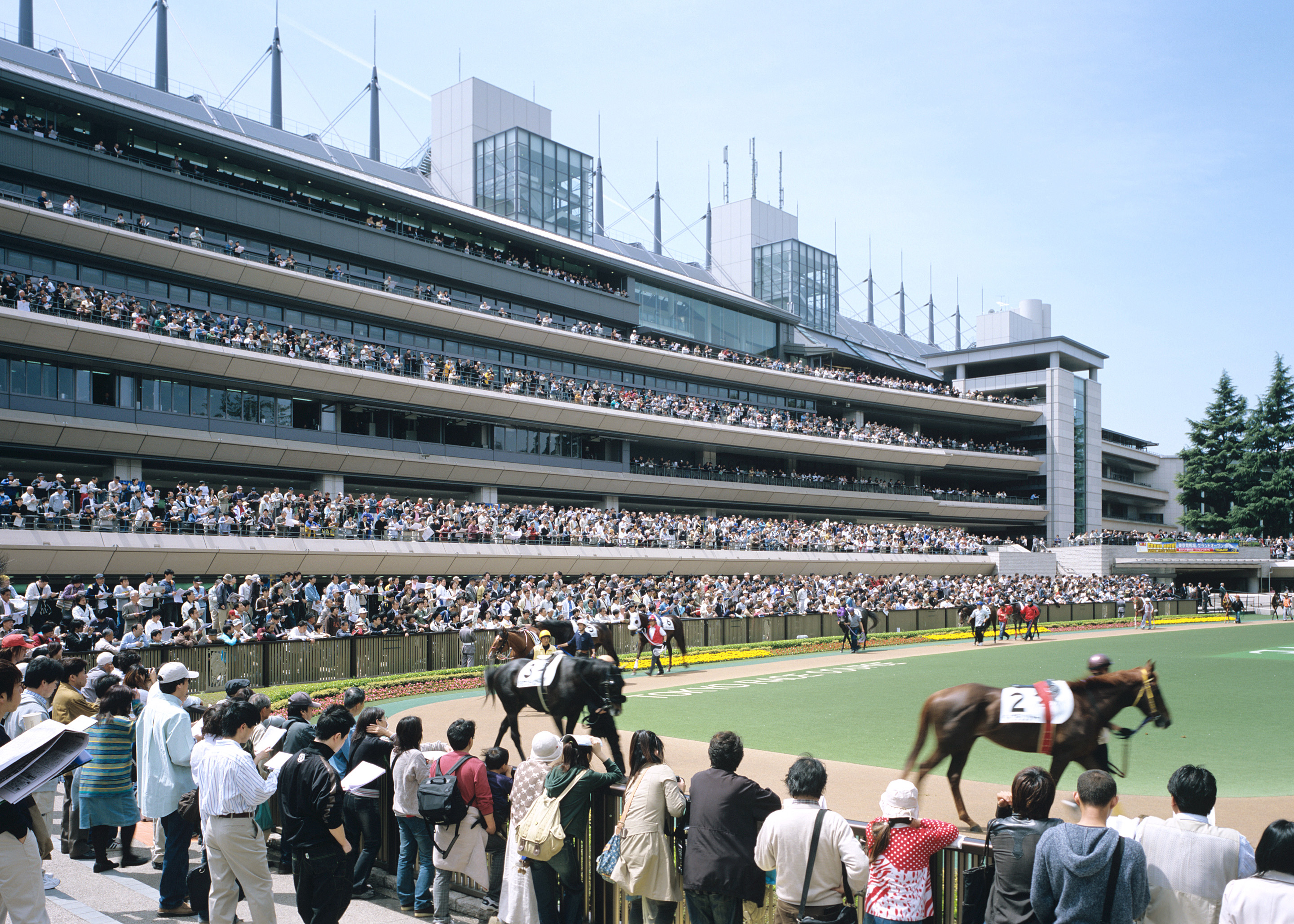 東京競馬場 Jraファシリティーズ株式会社